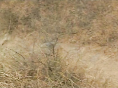 Бриана Бэнкс под властью медальона дает в жопу