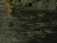 Ебля на фоне девственной природы