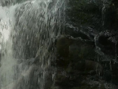 Ебля на фоне девственной природы