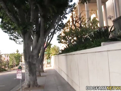 Красивая блондинка занимается межрасовым сексом с чернокожим ухажером