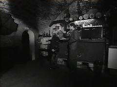 Страстный секс в темном вестибюле кафе