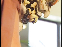 Келли Трамп испробует новую позу Камасутры