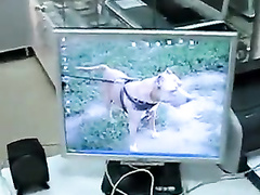 Дружок слил сперму в рот продавщицы салона сотовой связи